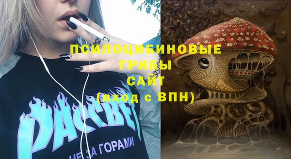 герыч Алексин