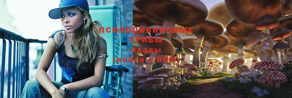 герыч Алексин