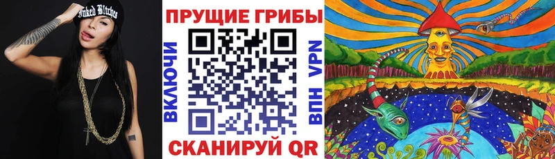 Псилоцибиновые грибы Magic Shrooms Цоци-Юрт